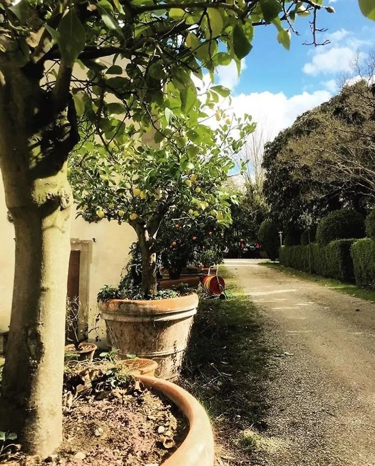 Villa I Bossi Arezzo